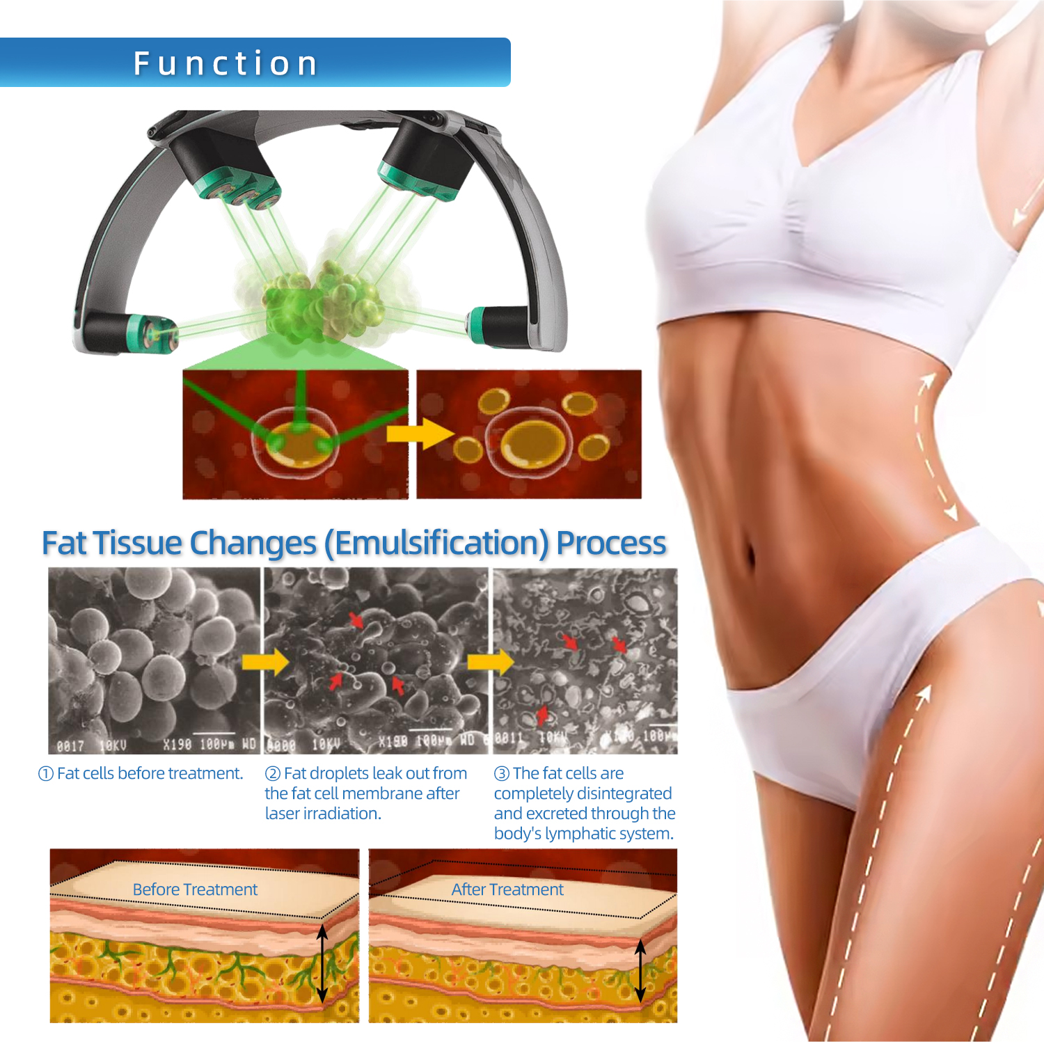 Green/Red laser slimming machine(image 4)